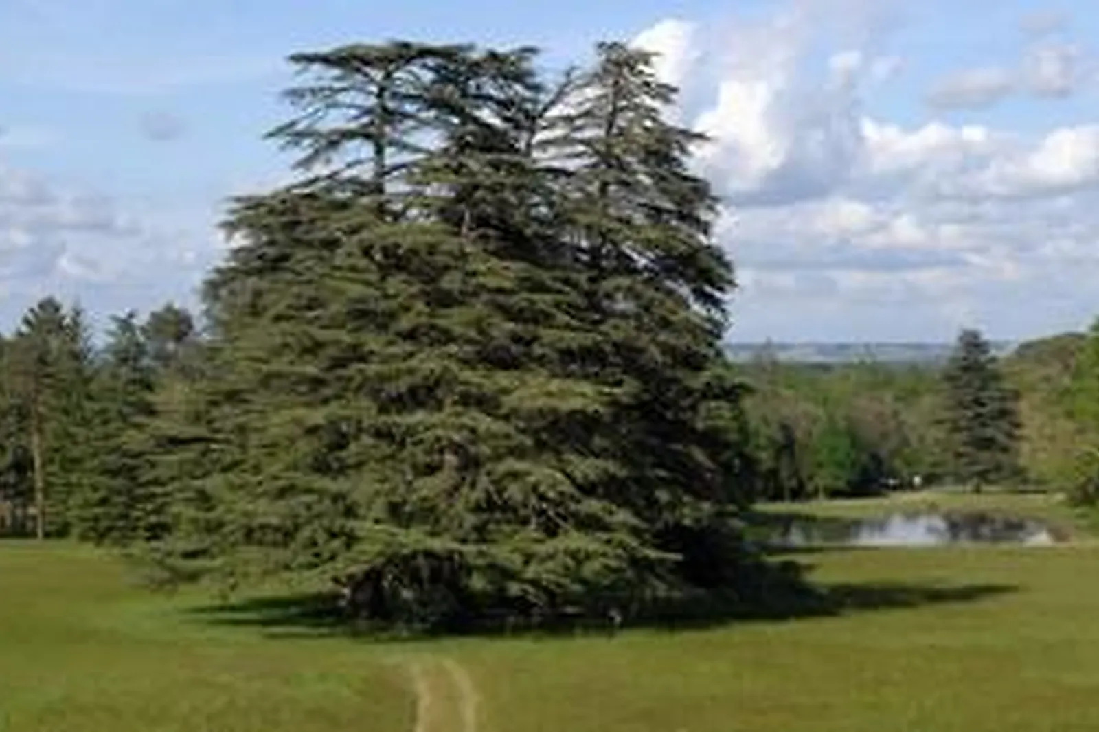 Lieux événementiels, DOMAINE DE GRENADE