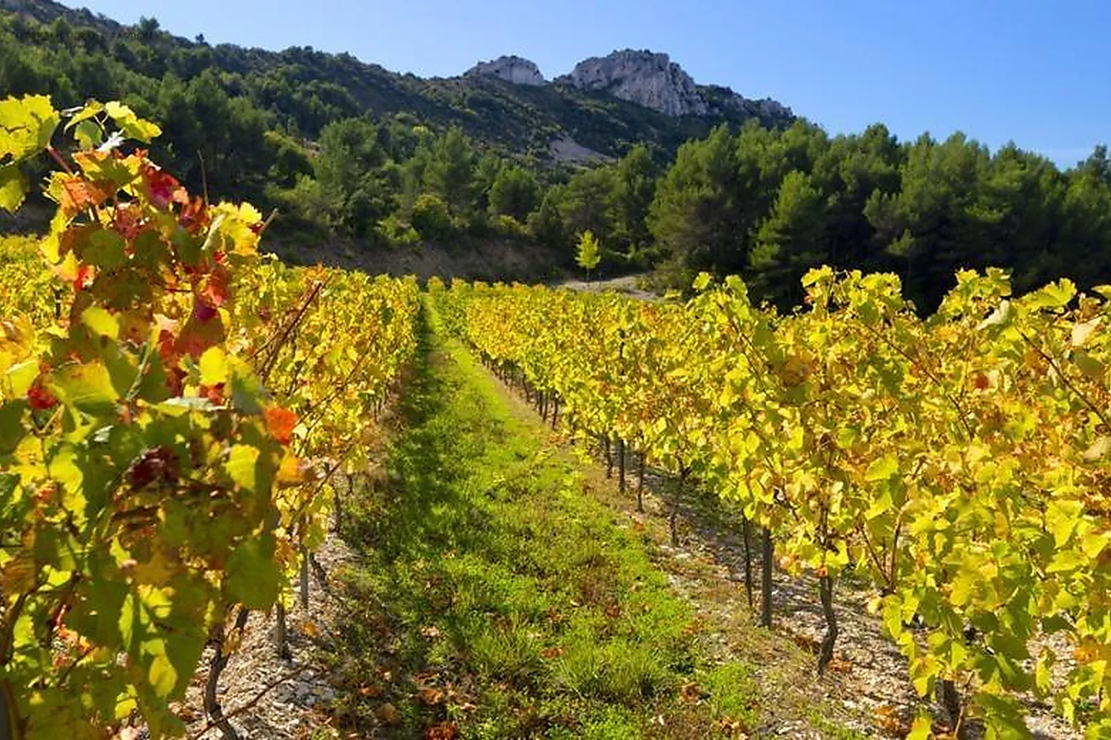 Lieux événementiels, DOMAINE DE LONGUE TOQUE