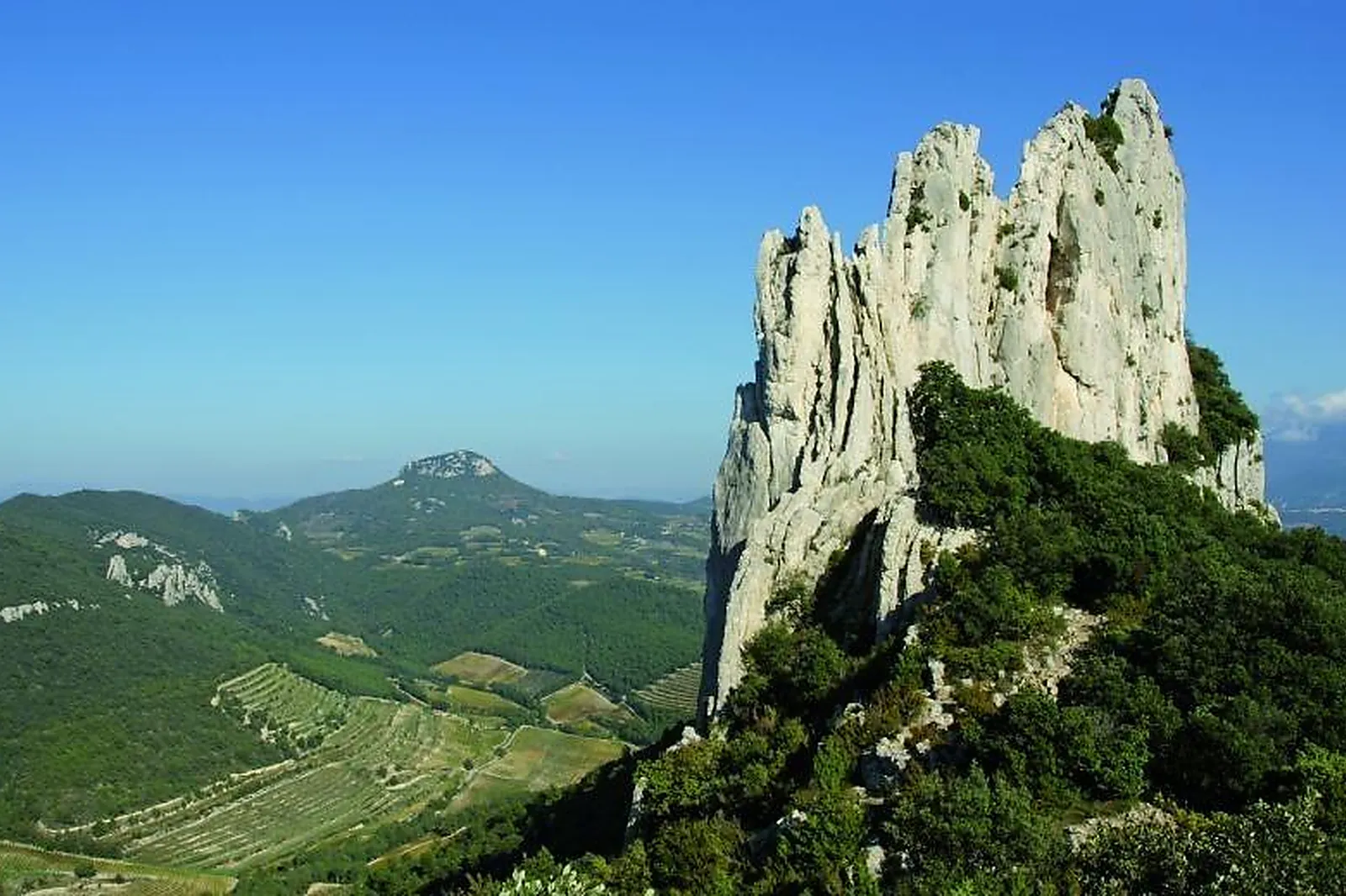 Lieux événementiels, DOMAINE DE LONGUE TOQUE