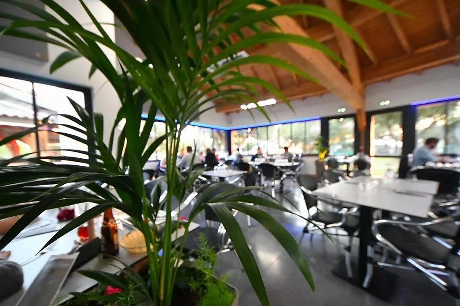 Lieux événementiels, DOMAINE DE MASSEREAU