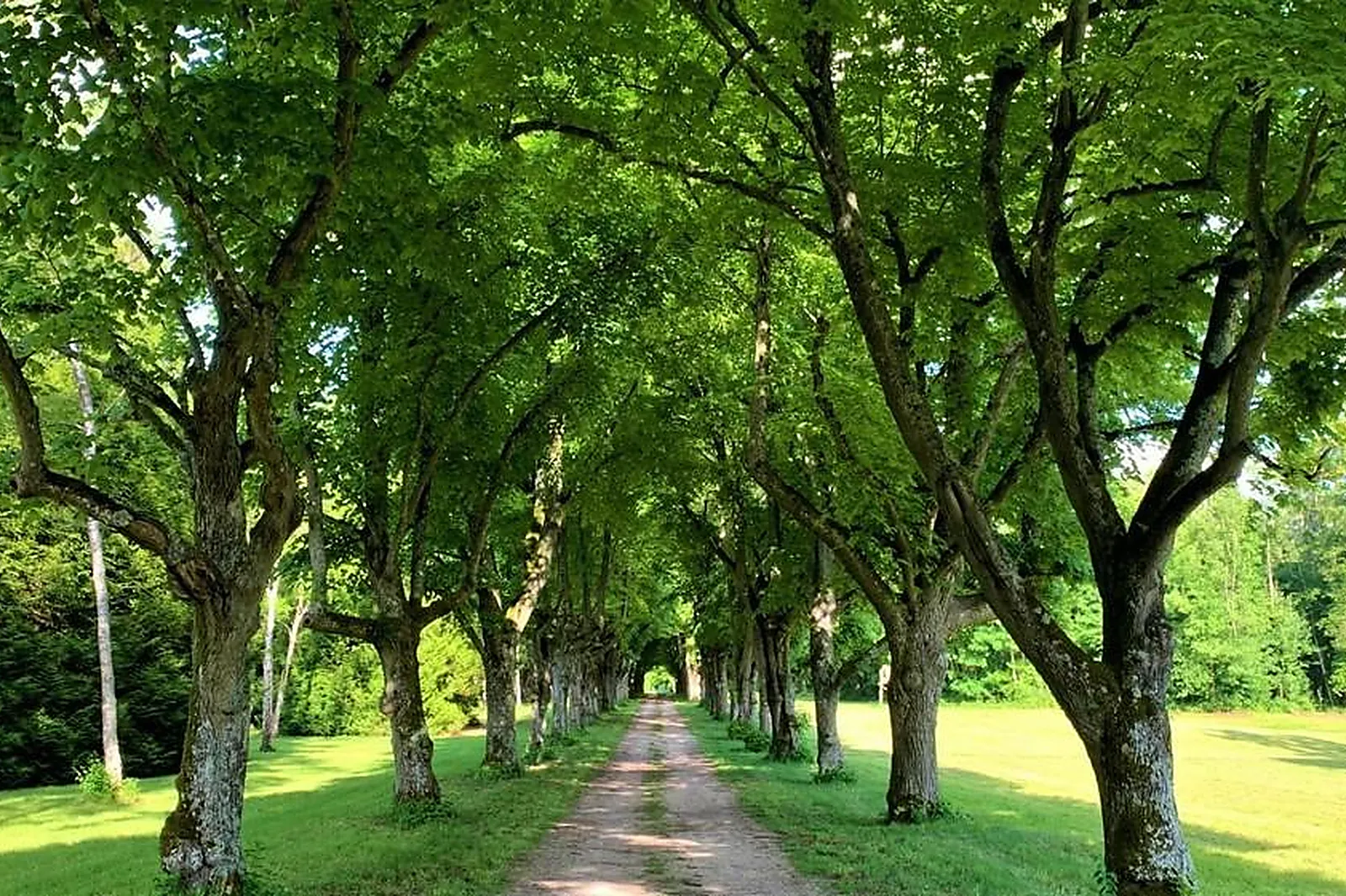 Lieux événementiels, DOMAINE DE MONTIGNY