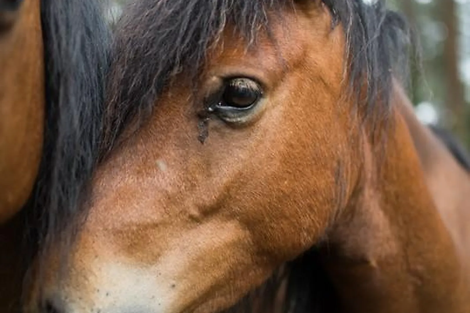 Lieux événementiels, DOMAINE DE PAN