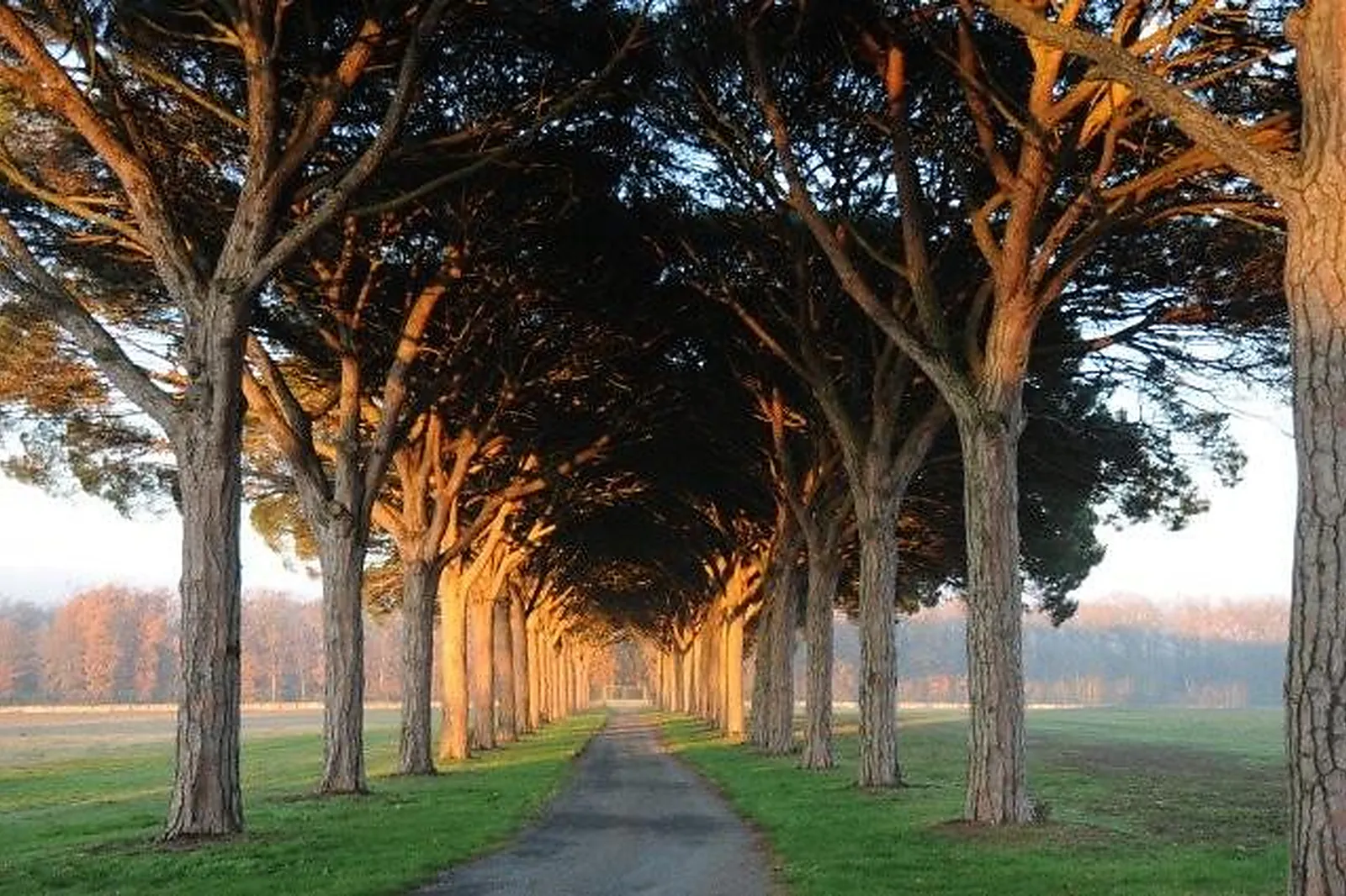 Lieux événementiels, DOMAINE DE PREISSAC
