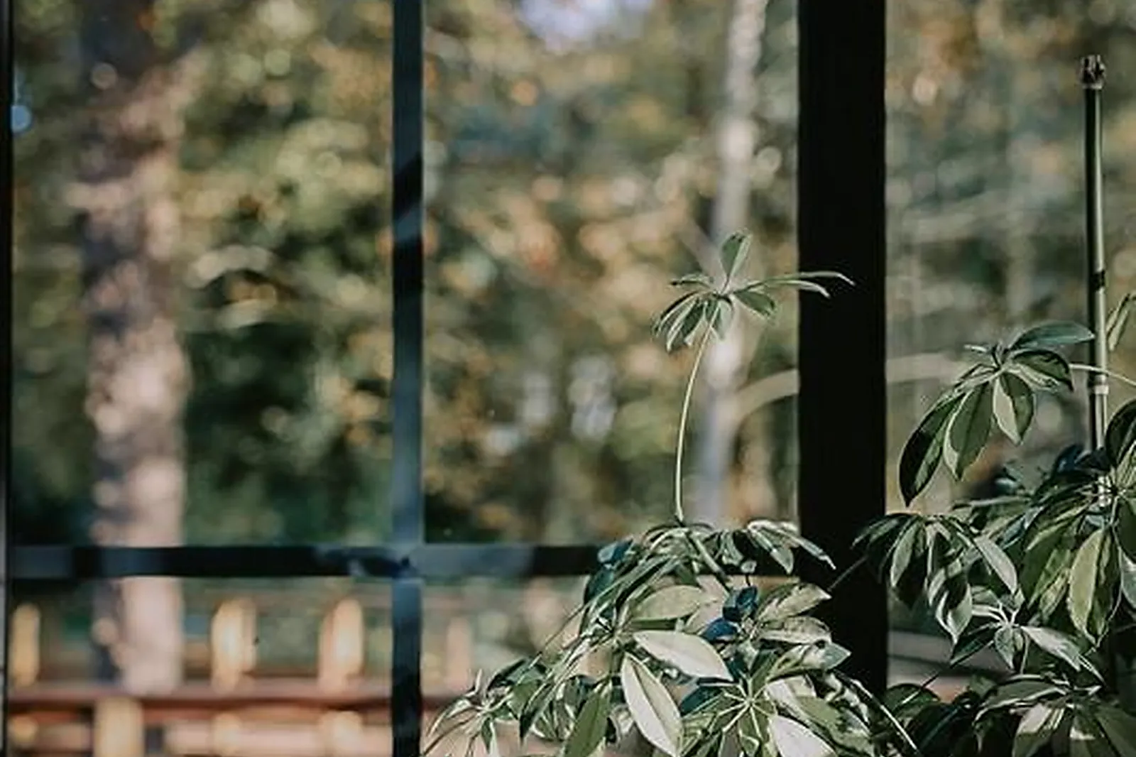 Lieux événementiels, DOMAINE DE VAUGENCY