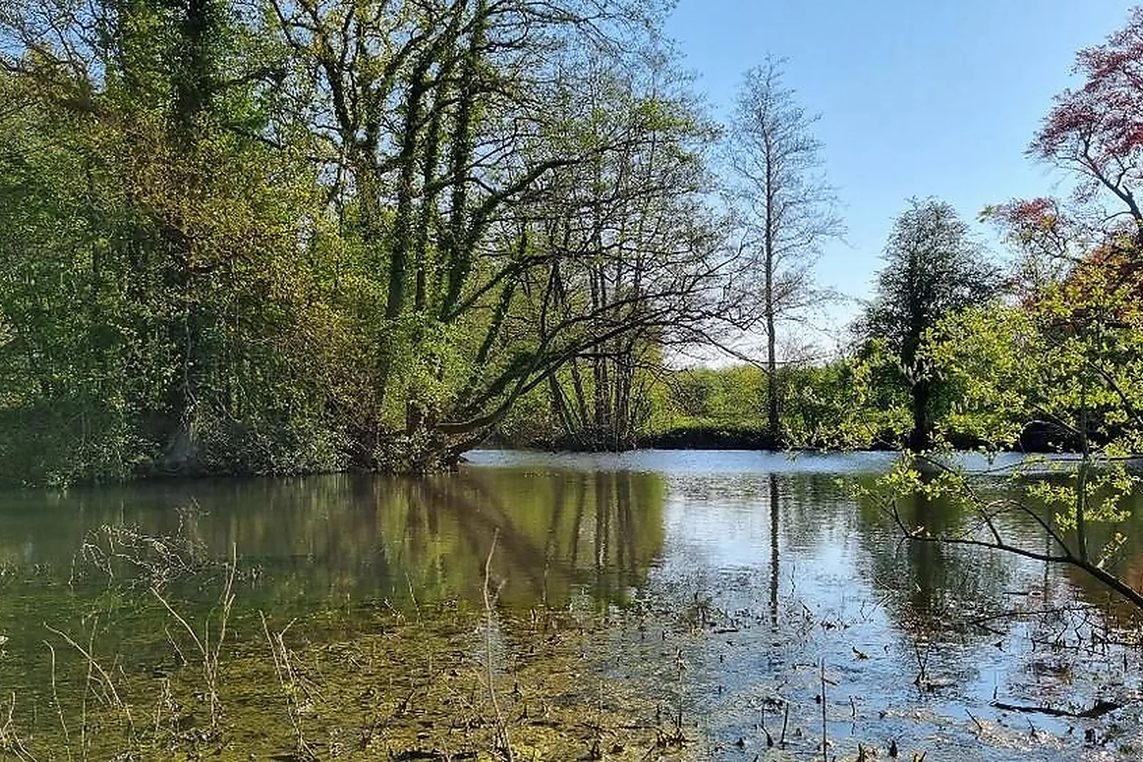 Lieux événementiels, DOMAINE DE WOLPHUS