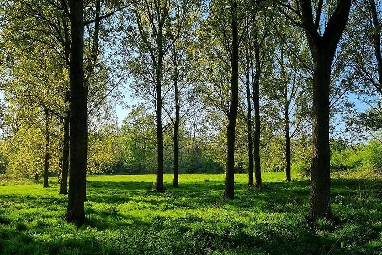 Lieux événementiels, DOMAINE DE WOLPHUS