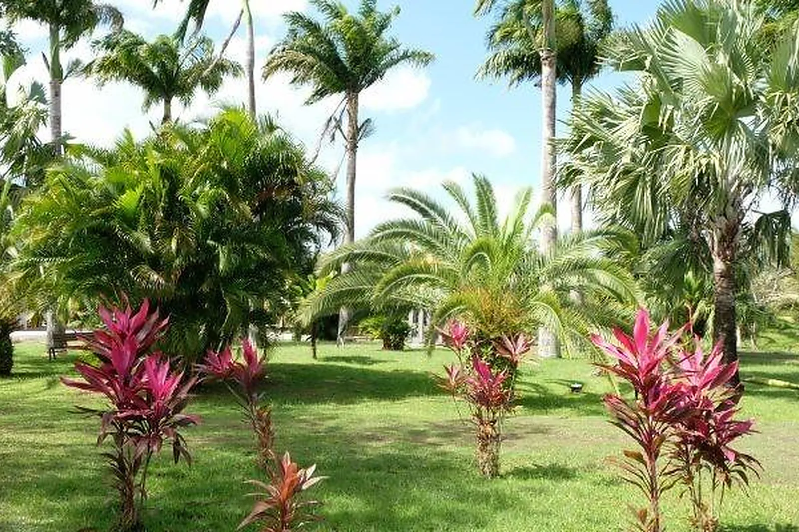 Lieux événementiels, DOMAINE DE L'OASIS