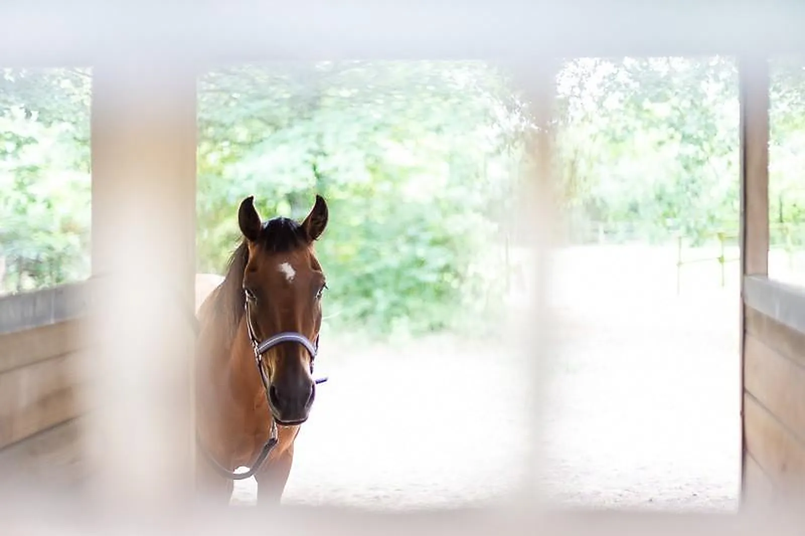 Lieux événementiels, DOMAINE DE L'OISELIÈRE