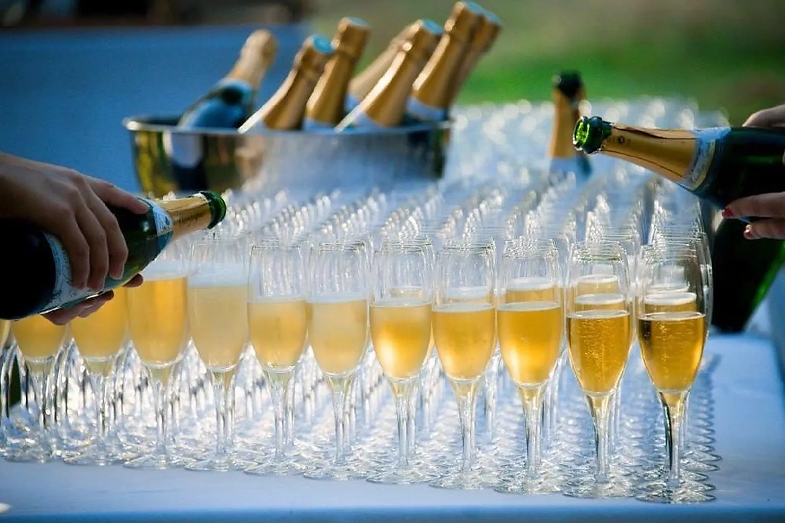 Lieux événementiels, DOMAINE DE L'OISELIÈRE