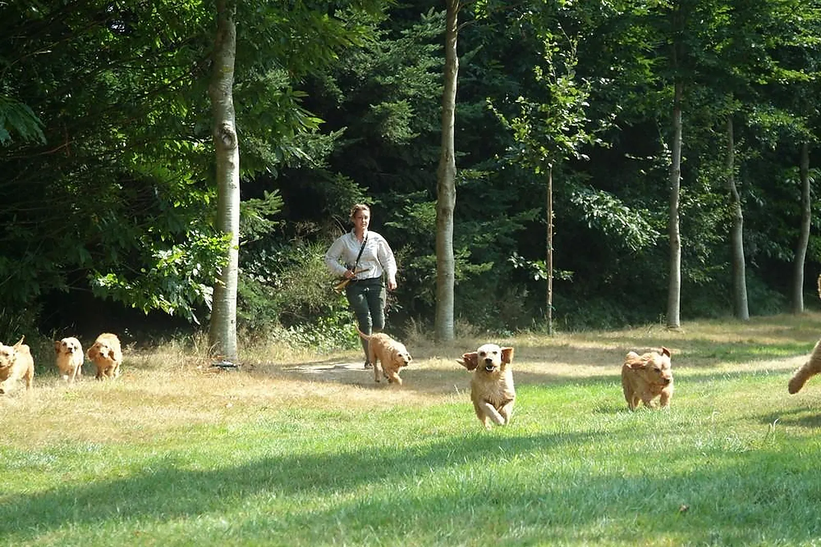 Lieux événementiels, DOMAINE DE LA BOURBANSAIS