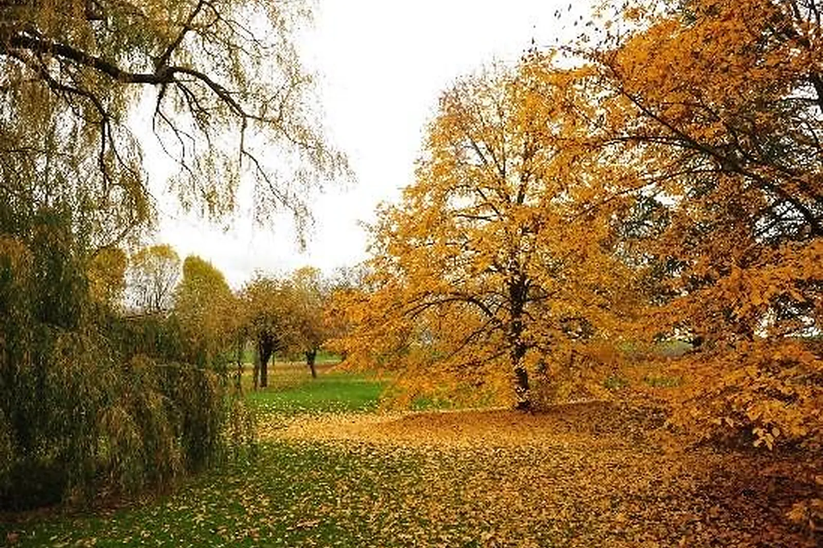Lieux événementiels, DOMAINE DE LA BOUTARDIÈRE