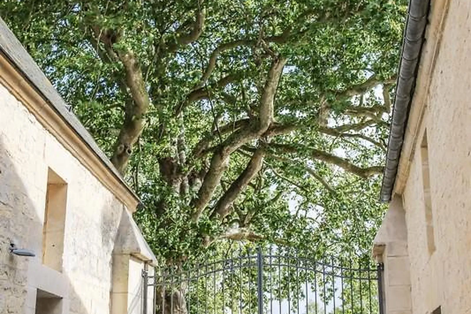 Lieux événementiels, DOMAINE DE LA COUR DES LYS