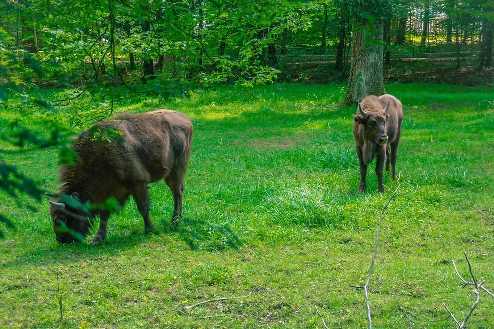 Lieux événementiels, DOMAINE DE LA DOMBES