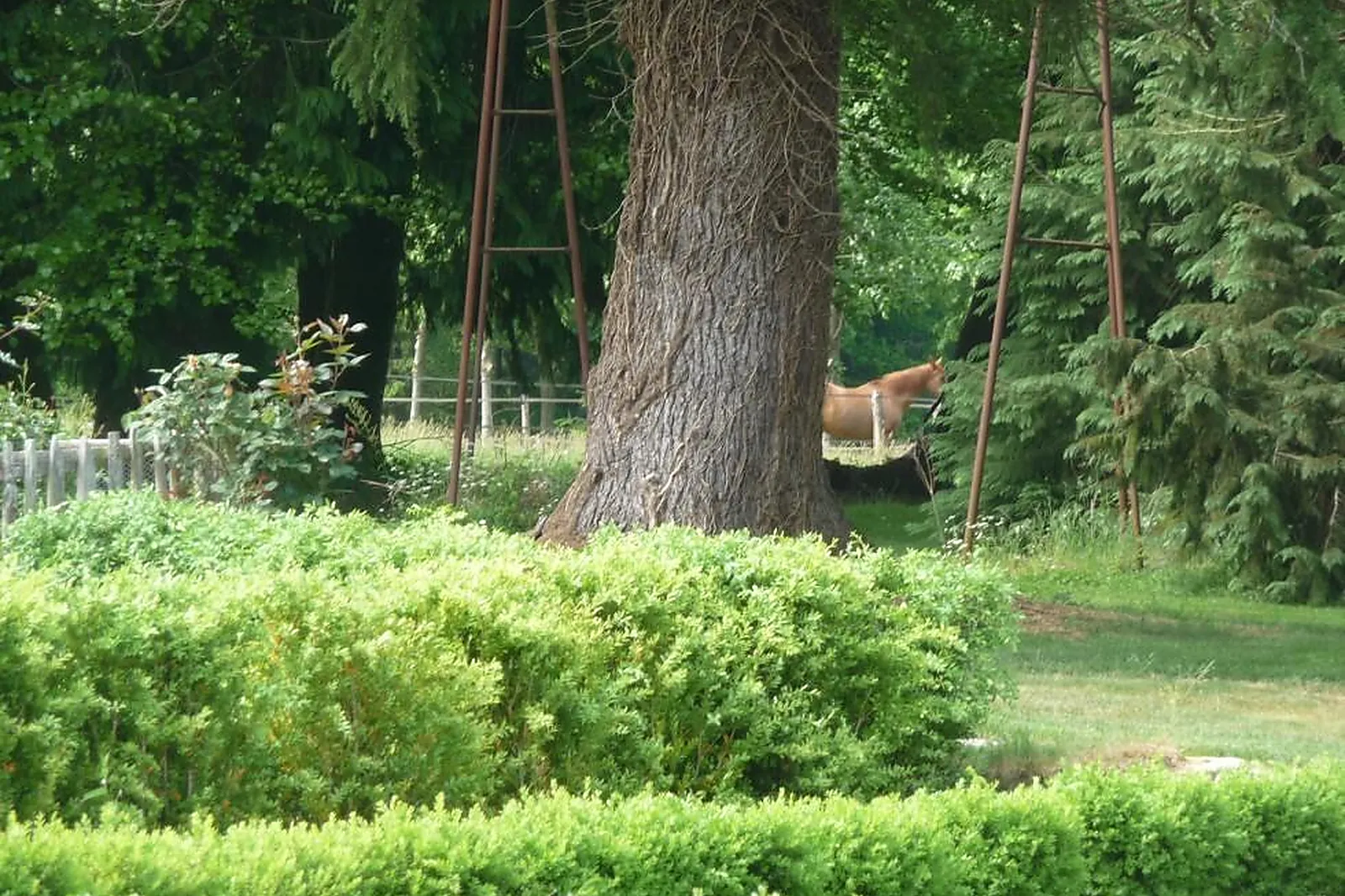 Lieux événementiels, DOMAINE DE LA FERRIÈRE