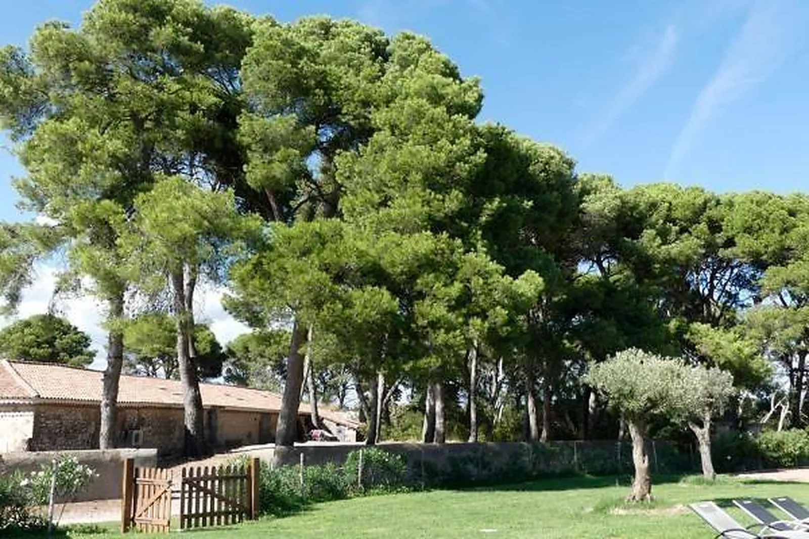 Lieux événementiels, DOMAINE DE LA GRANGETTE