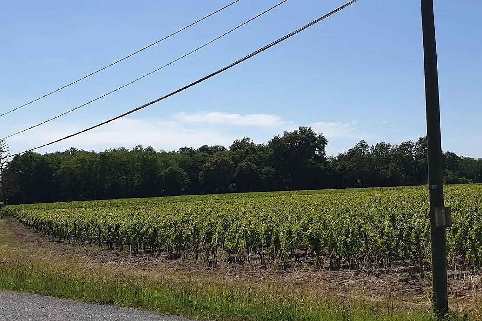 Lieux événementiels, DOMAINE DE LA SOLITUDE