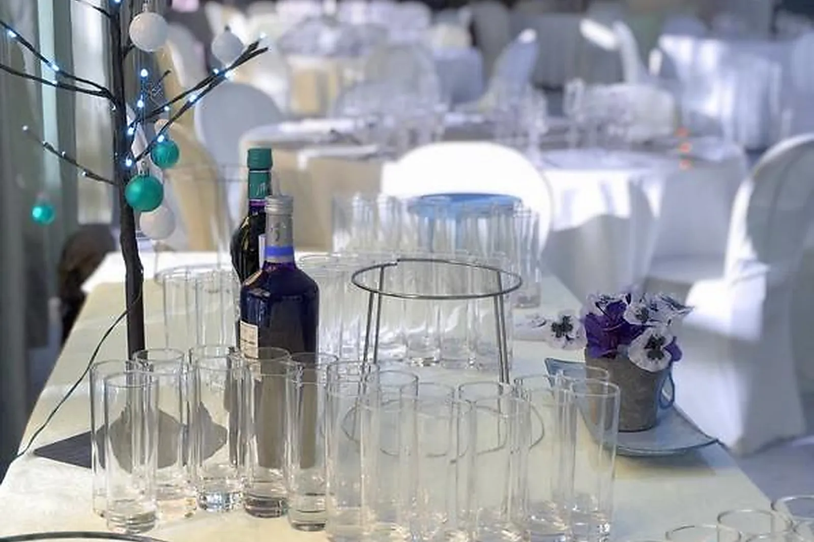 Lieux événementiels, DOMAINE DE LA TUILIERE