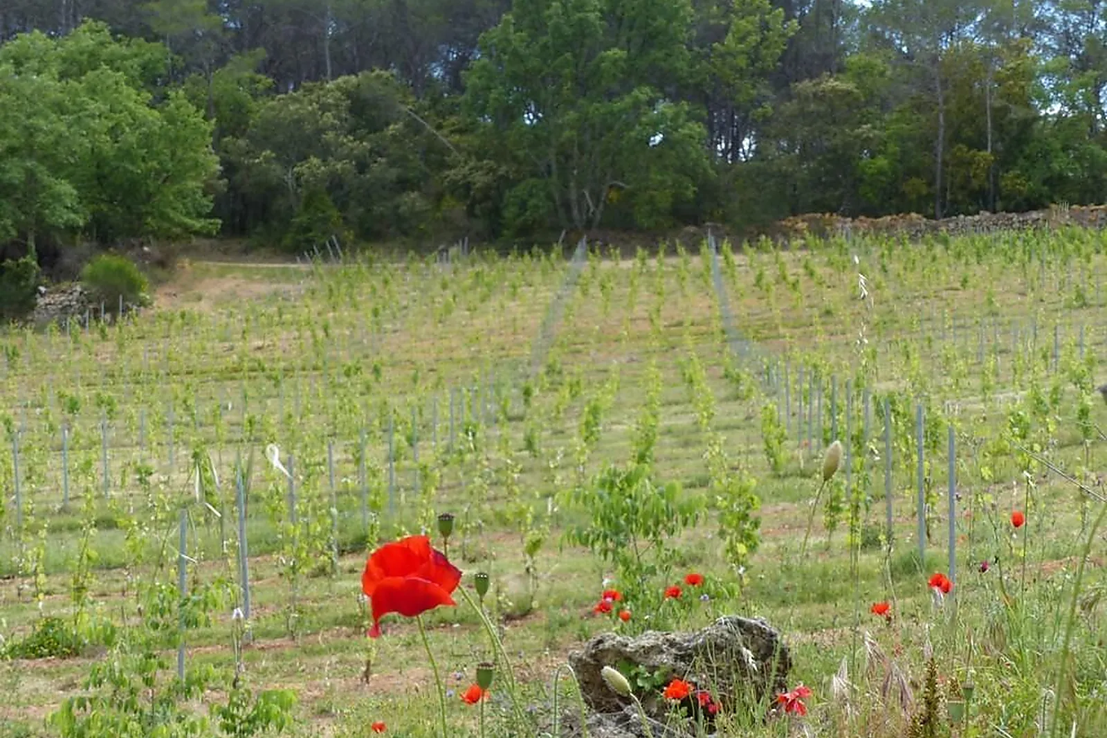 Lieux événementiels, DOMAINE DES BRUGUIÈRES