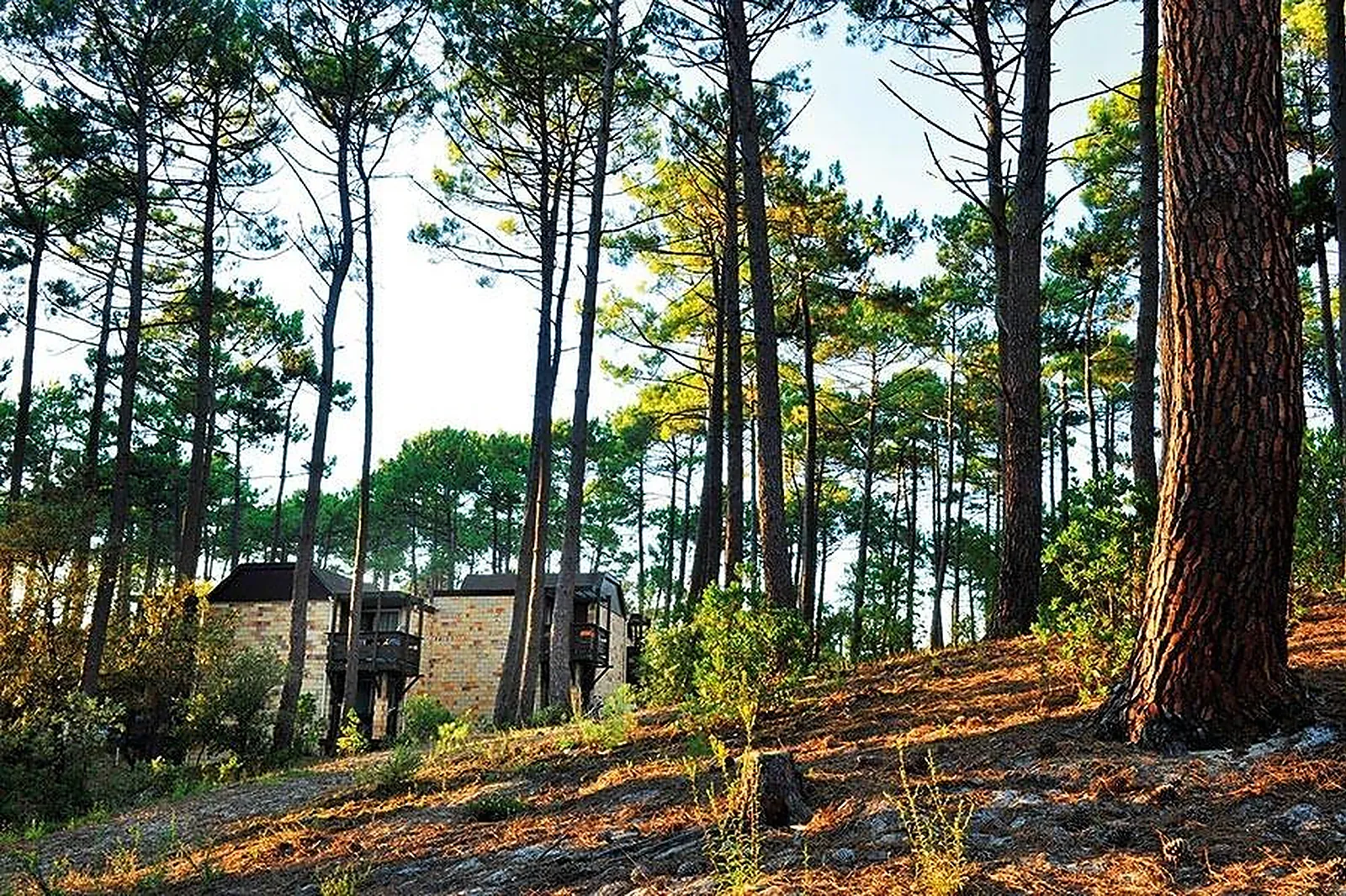 Lieux événementiels, DOMAINE DES BRUYÈRES