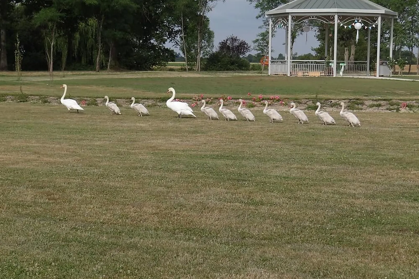 Lieux événementiels, DOMAINE DES CYGNES