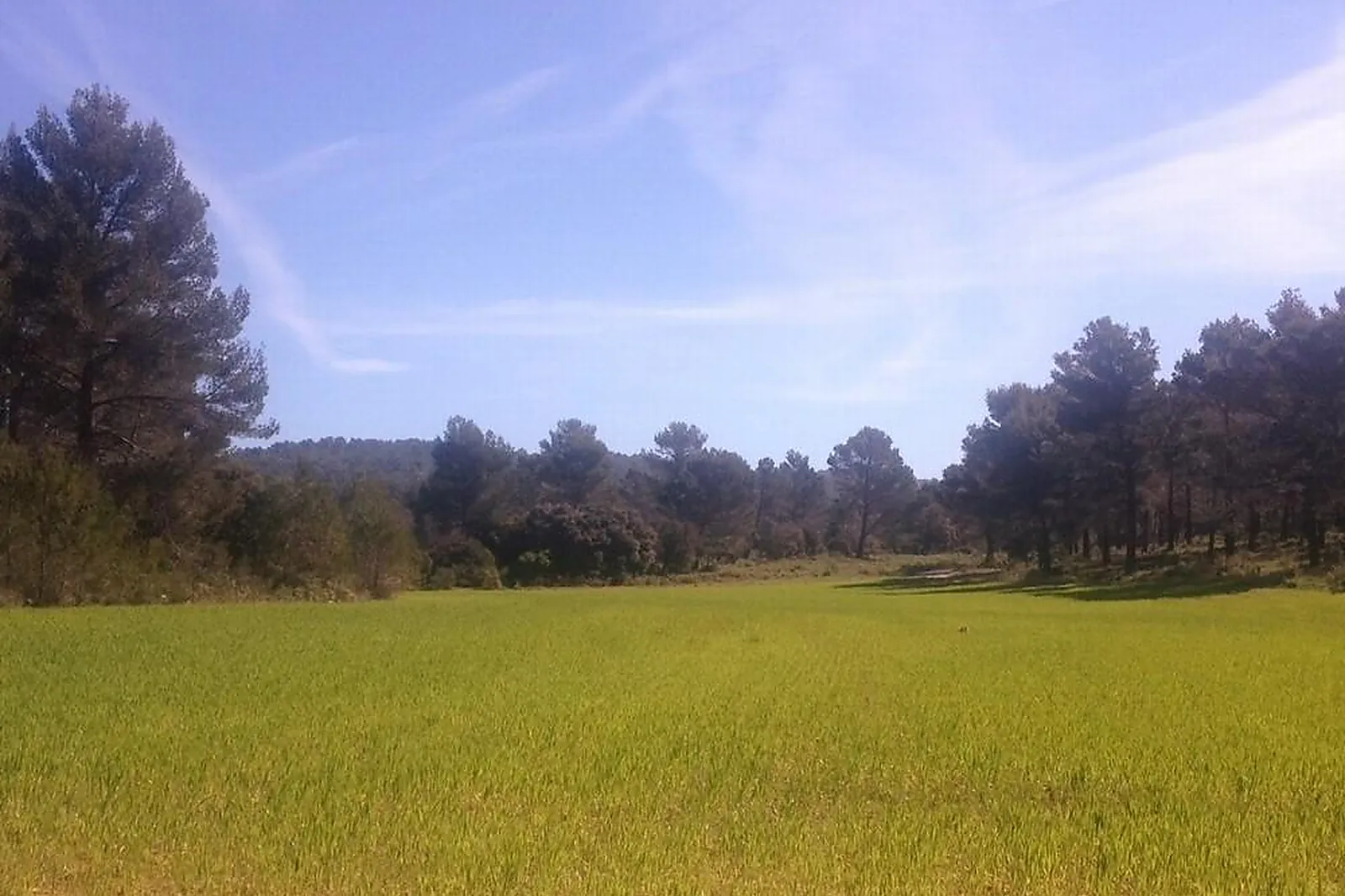 Lieux événementiels, DOMAINE DES DANJEAN