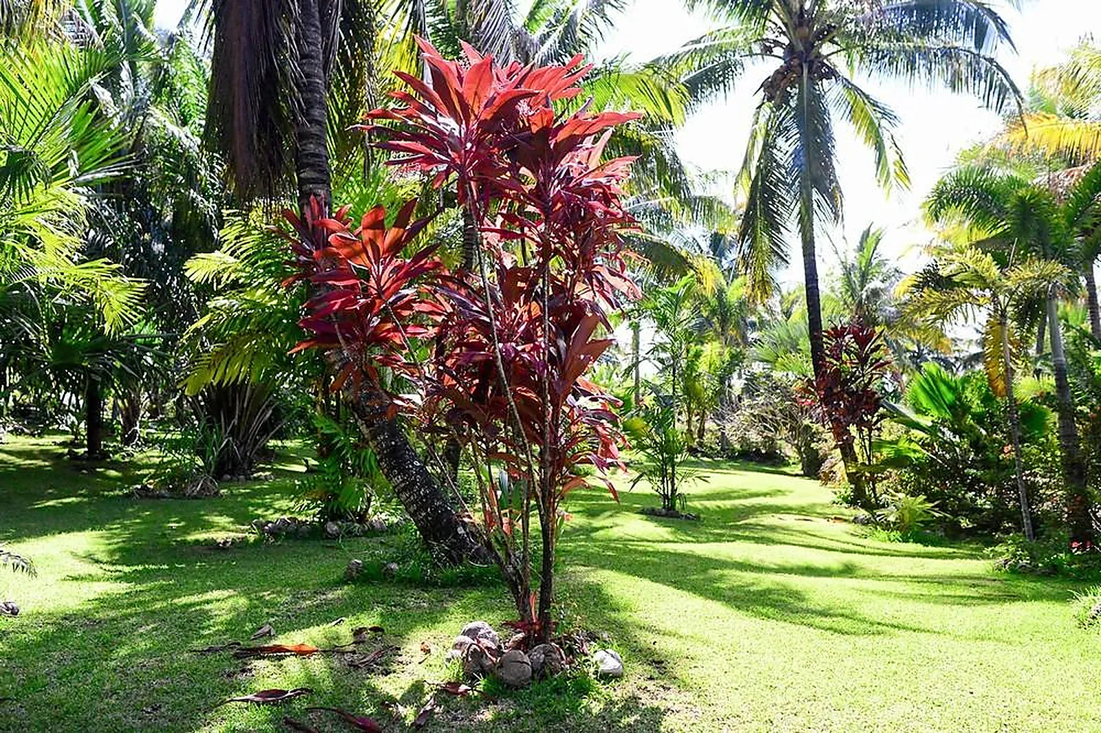 Lieux événementiels, DOMAINE DES MILLE COCOS