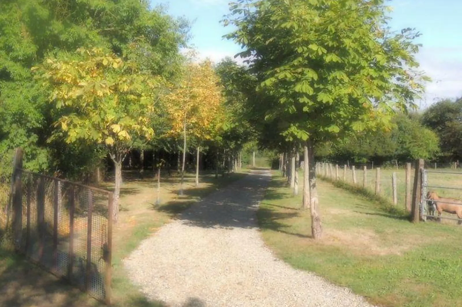 Lieux événementiels, DOMAINE DES MILLE OISEAUX