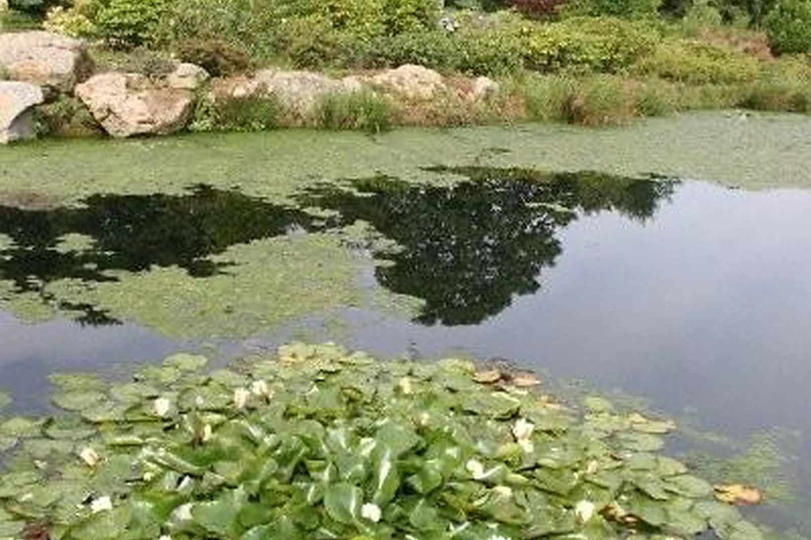 Lieux événementiels, DOMAINE DES RHODODENDRONS