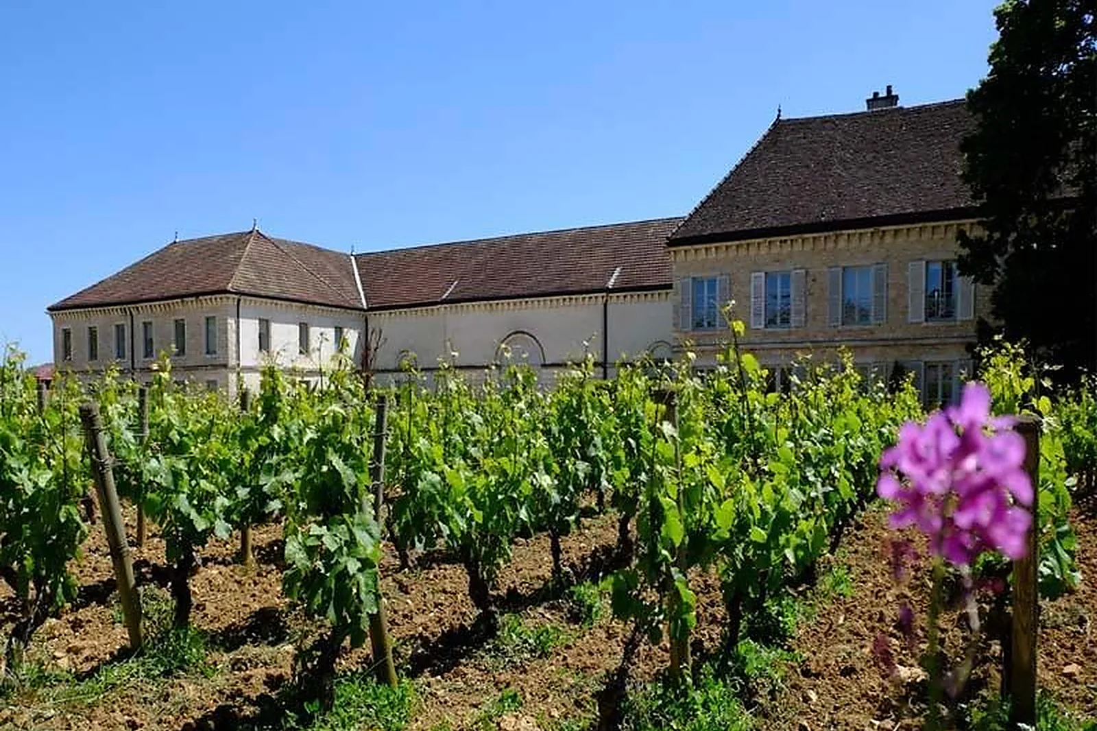Lieux événementiels, DOMAINE DU CHÂTEAU DE CHASSAGNE-MONTRACHET