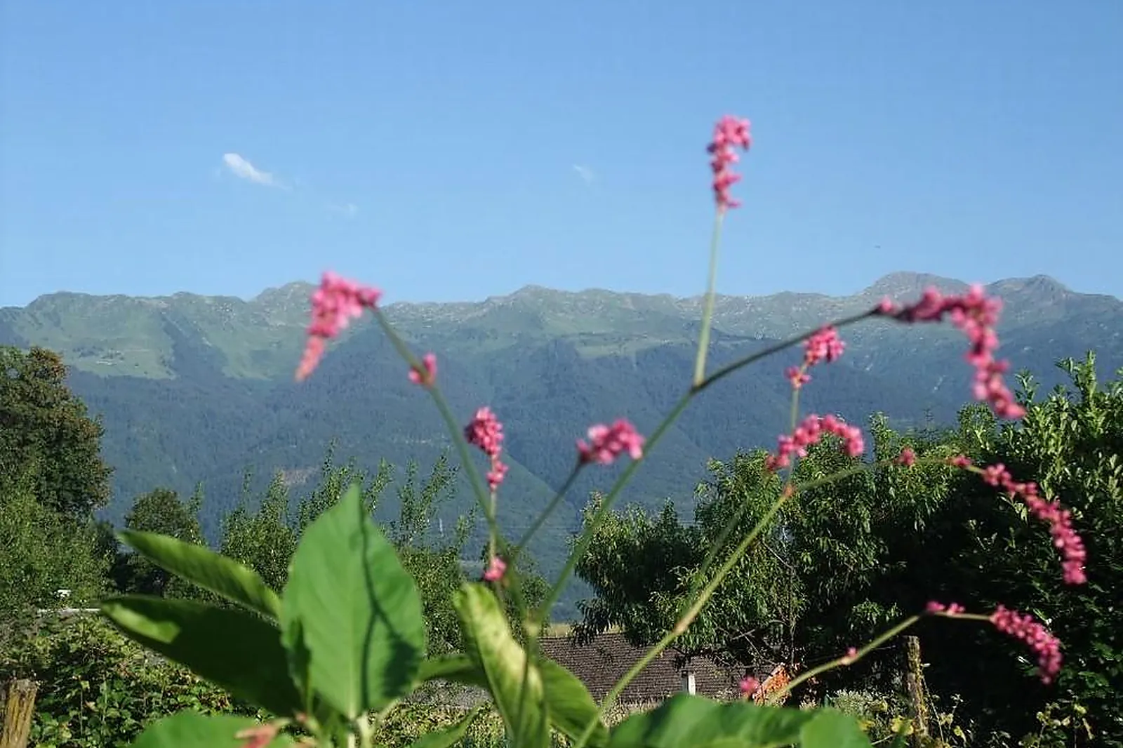 Lieux événementiels, DOMAINE DU GRAND CELLIER