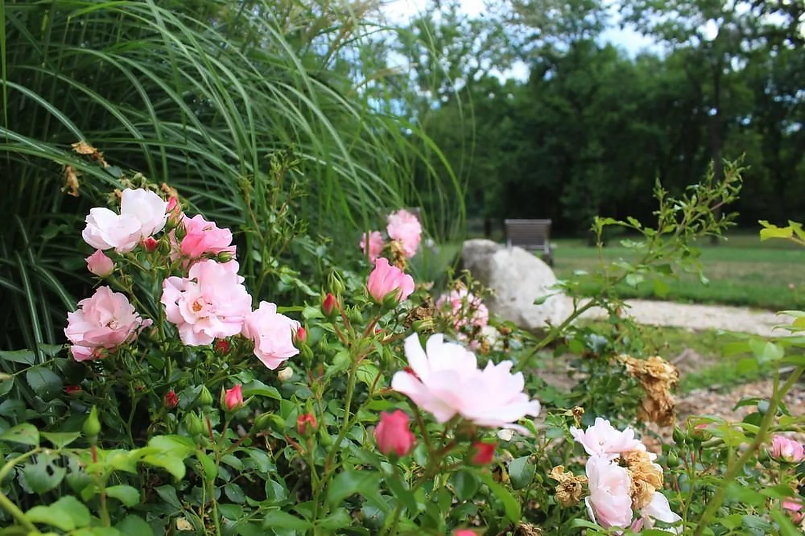 Lieux événementiels, DOMAINE DU GRAND NOUER