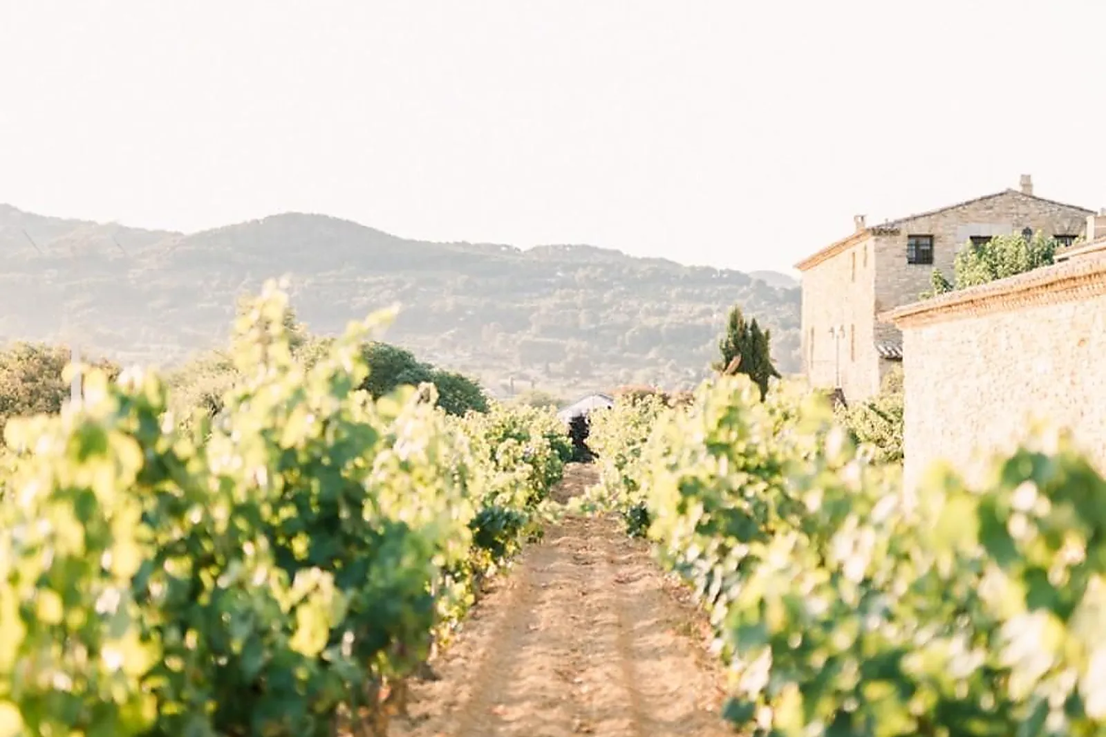 Lieux événementiels, DOMAINE DU GROS NORÉ