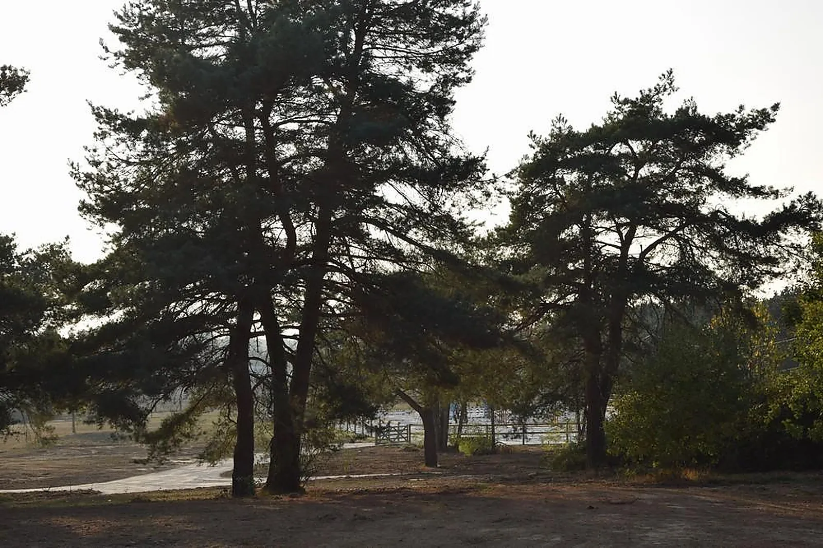 Lieux événementiels, DOMAINE DU HARAS DE FONTAINEBLEAU