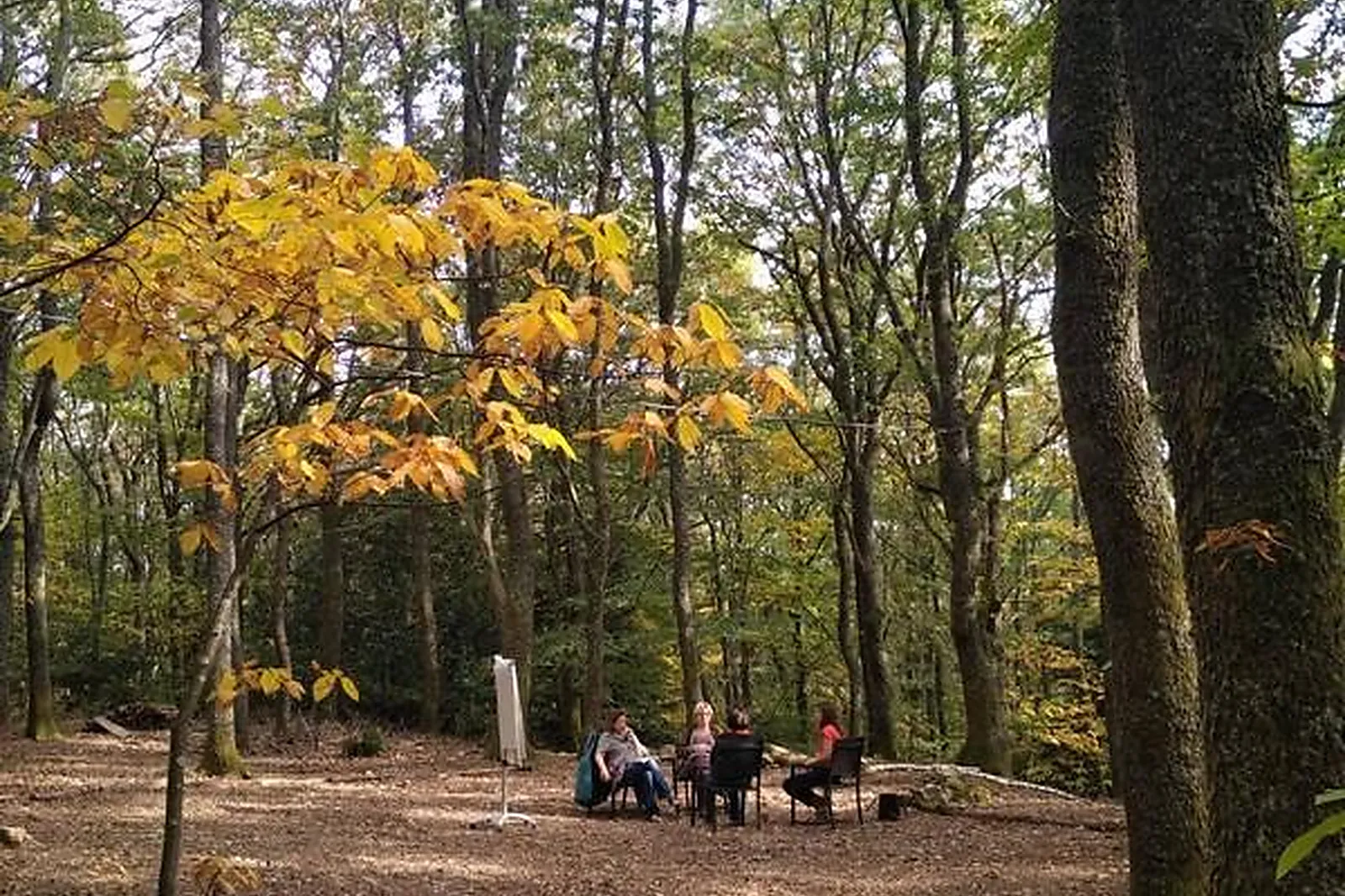 Lieux événementiels, DOMAINE DU HIRTZ