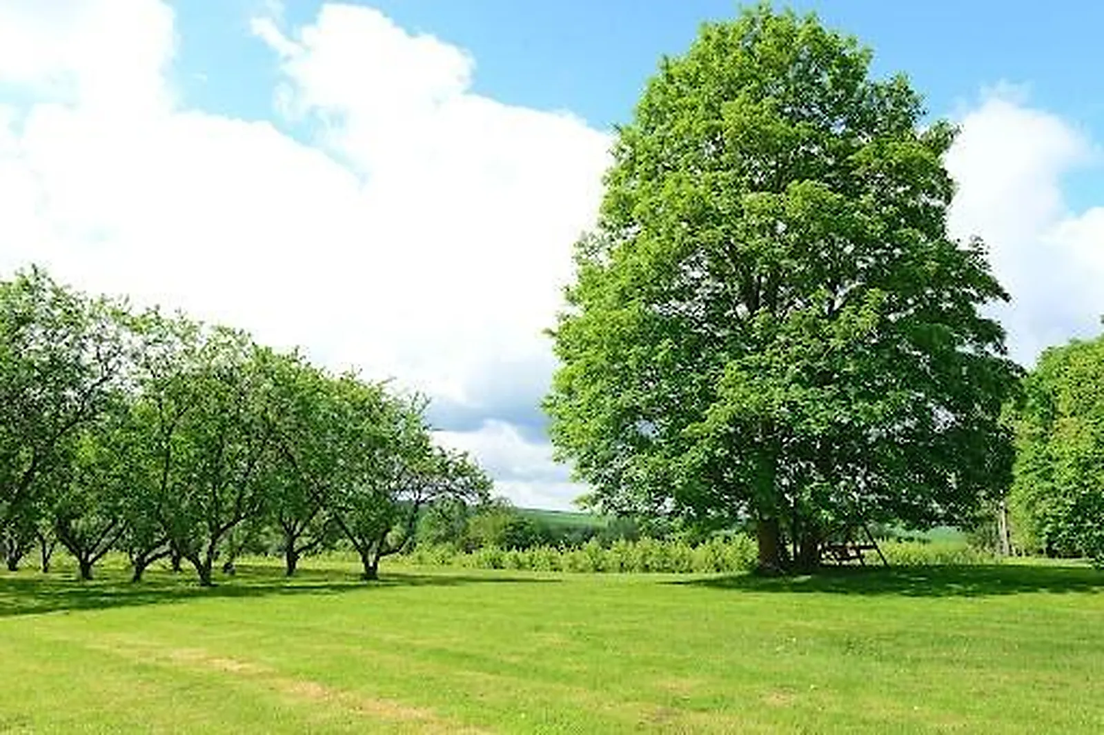 Lieux événementiels, DOMAINE DU MONT ROUGE