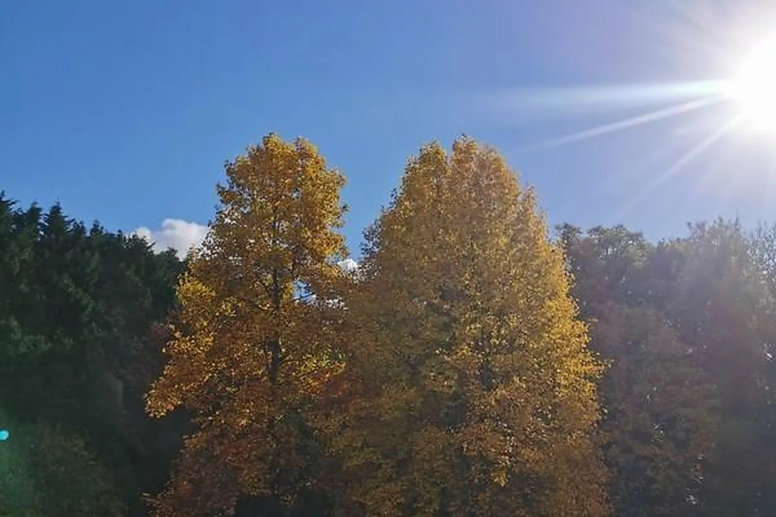 Lieux événementiels, DOMAINE DU CHÂTEAU DE LAUNAY GUEN