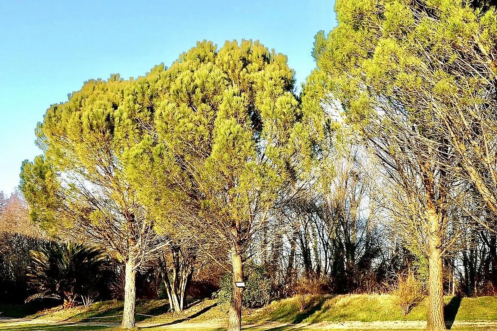 Lieux événementiels, DOMAINE LA ROQUE