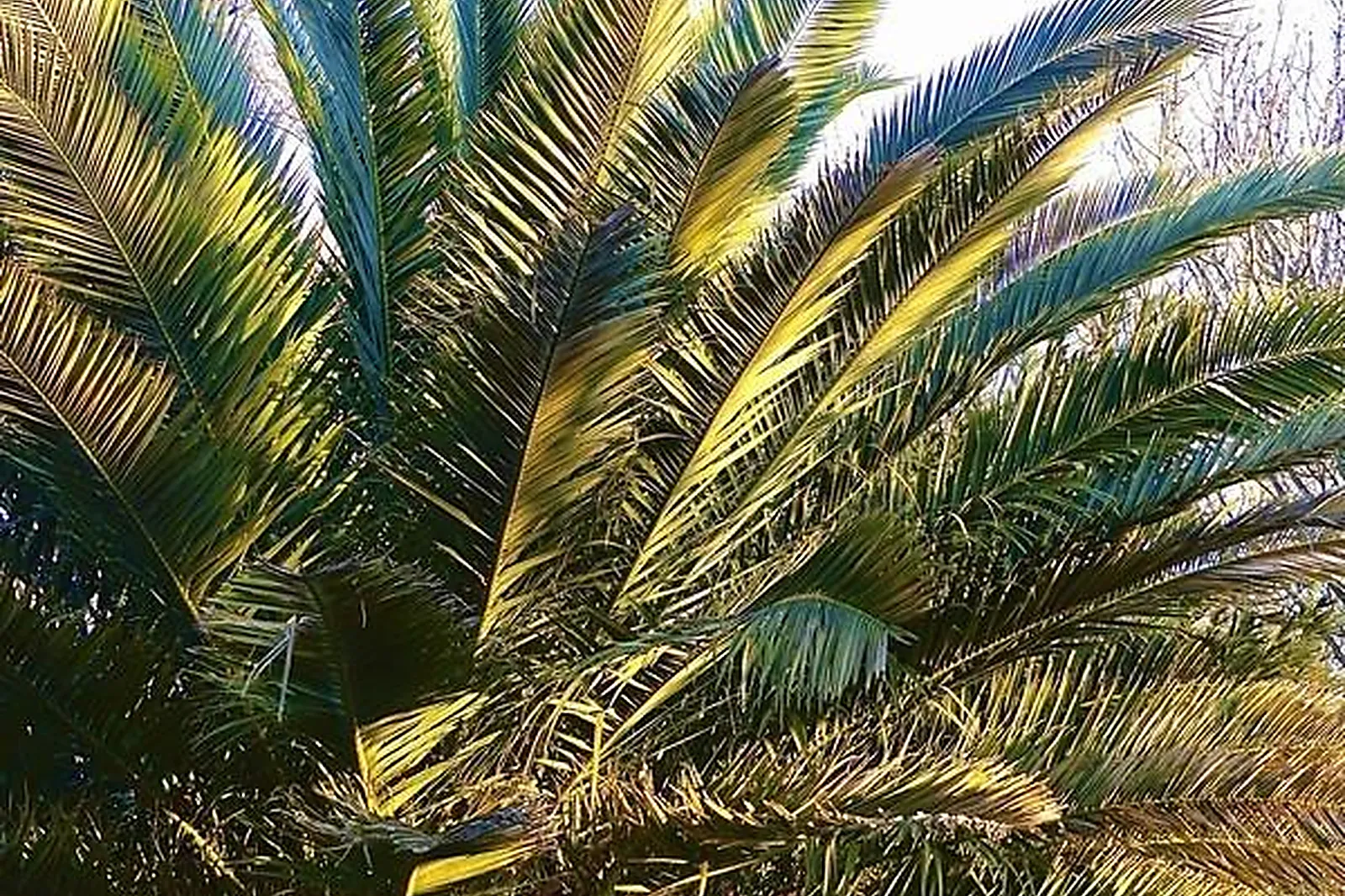 Lieux événementiels, DOMAINE LA ROQUE