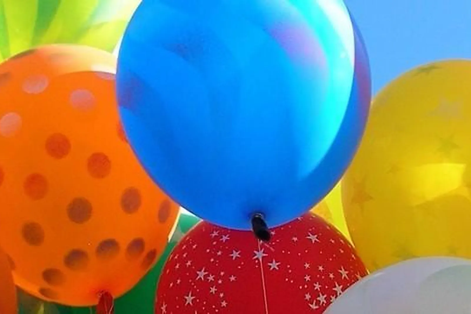 Lieux événementiels, ECOLE DE CIRQUE DE BORDEAUX