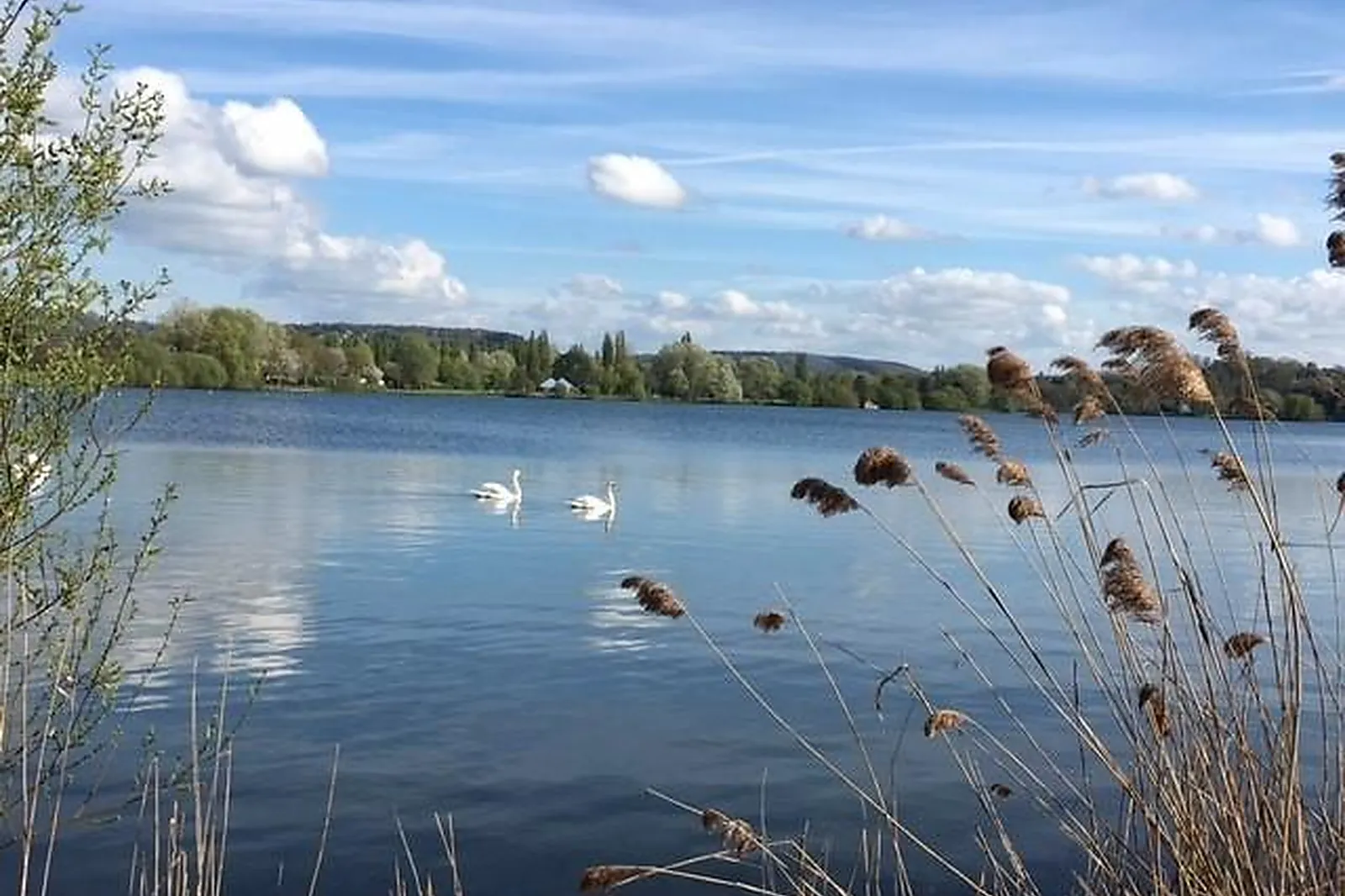 Lieux événementiels, EDEN PARK HÔTEL RESTAURANT