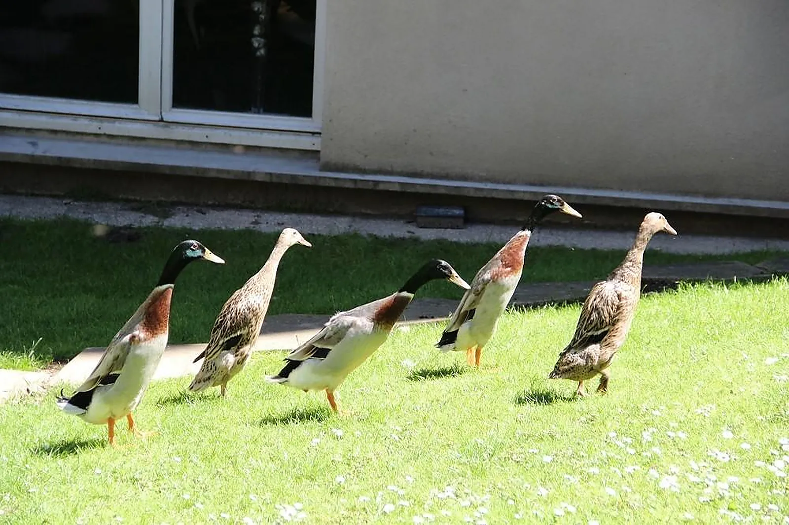Lieux événementiels, ESPACE HAMELIN