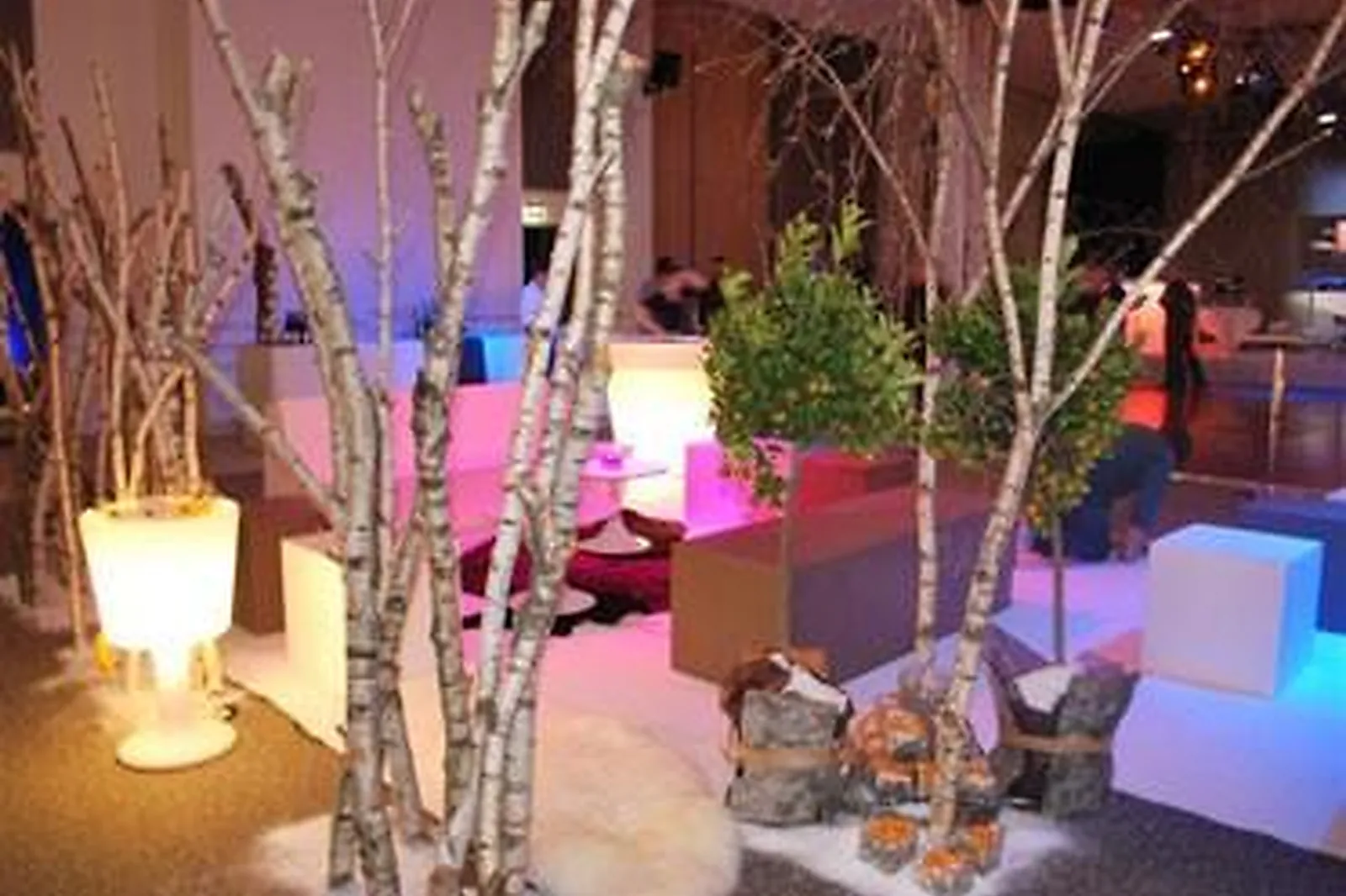 Lieux événementiels, ESPACES VANEL