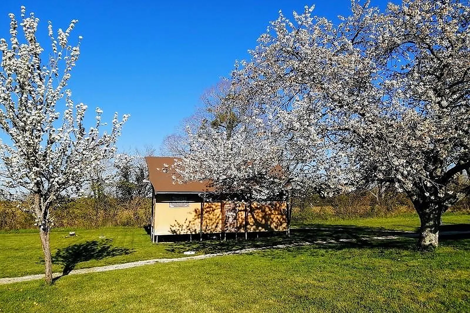 Lieux événementiels, FAMILY ECOLODGE