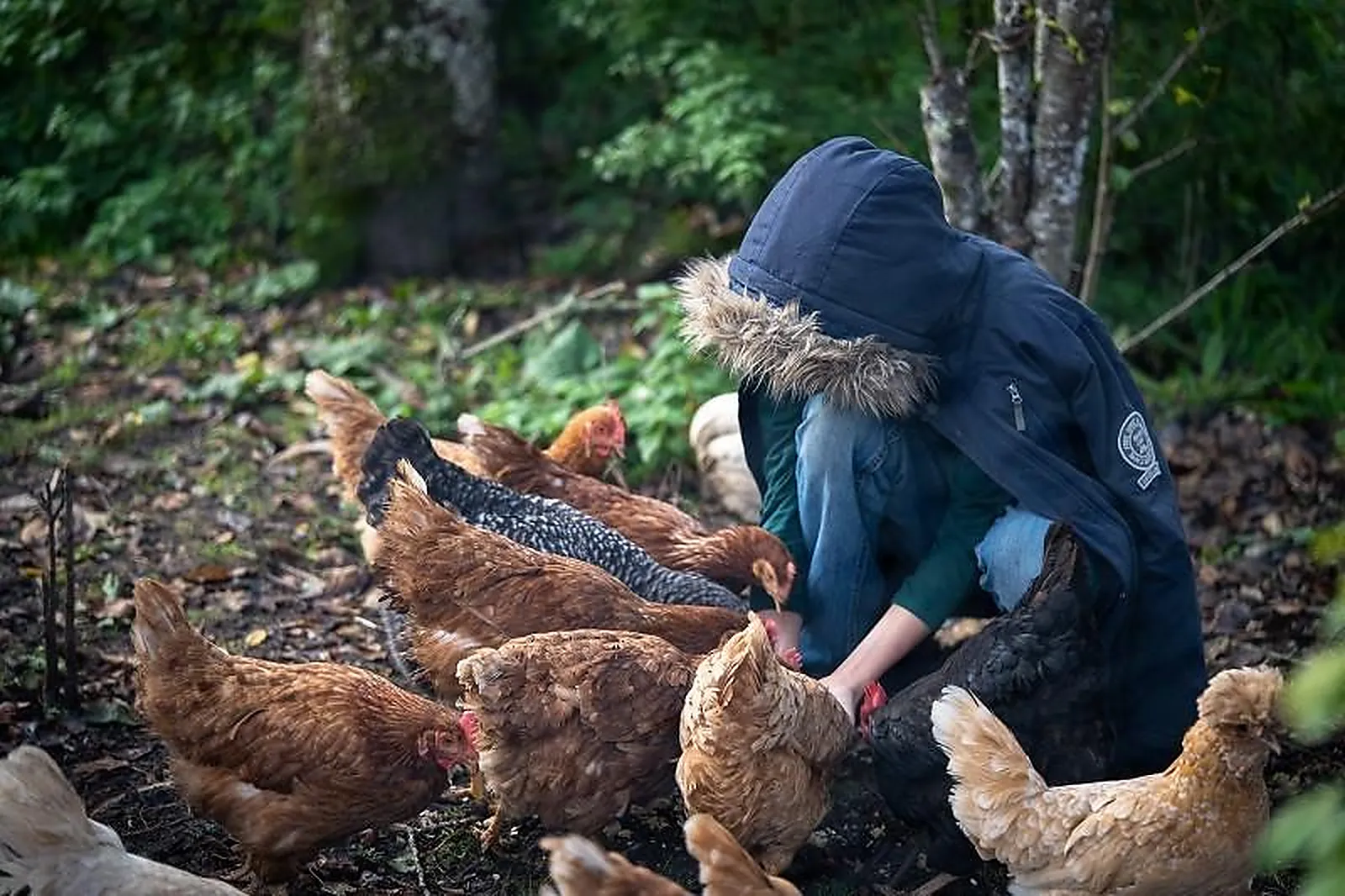 Lieux événementiels, FAMILY ECOLODGE