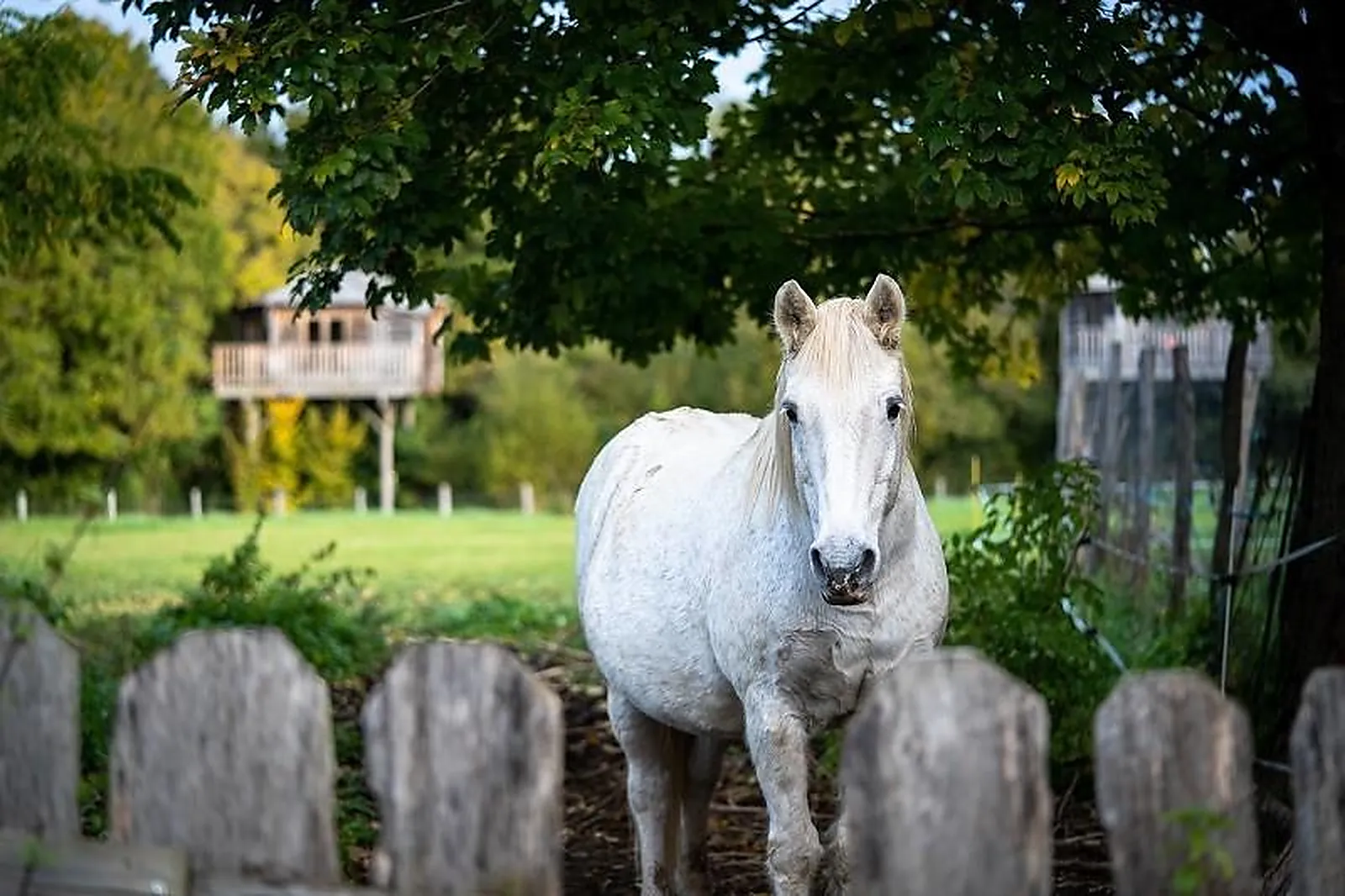 Lieux événementiels, FAMILY ECOLODGE