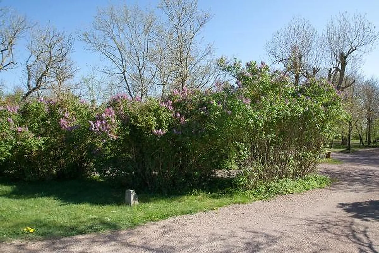 Lieux événementiels, FERME DE L'AVENIR