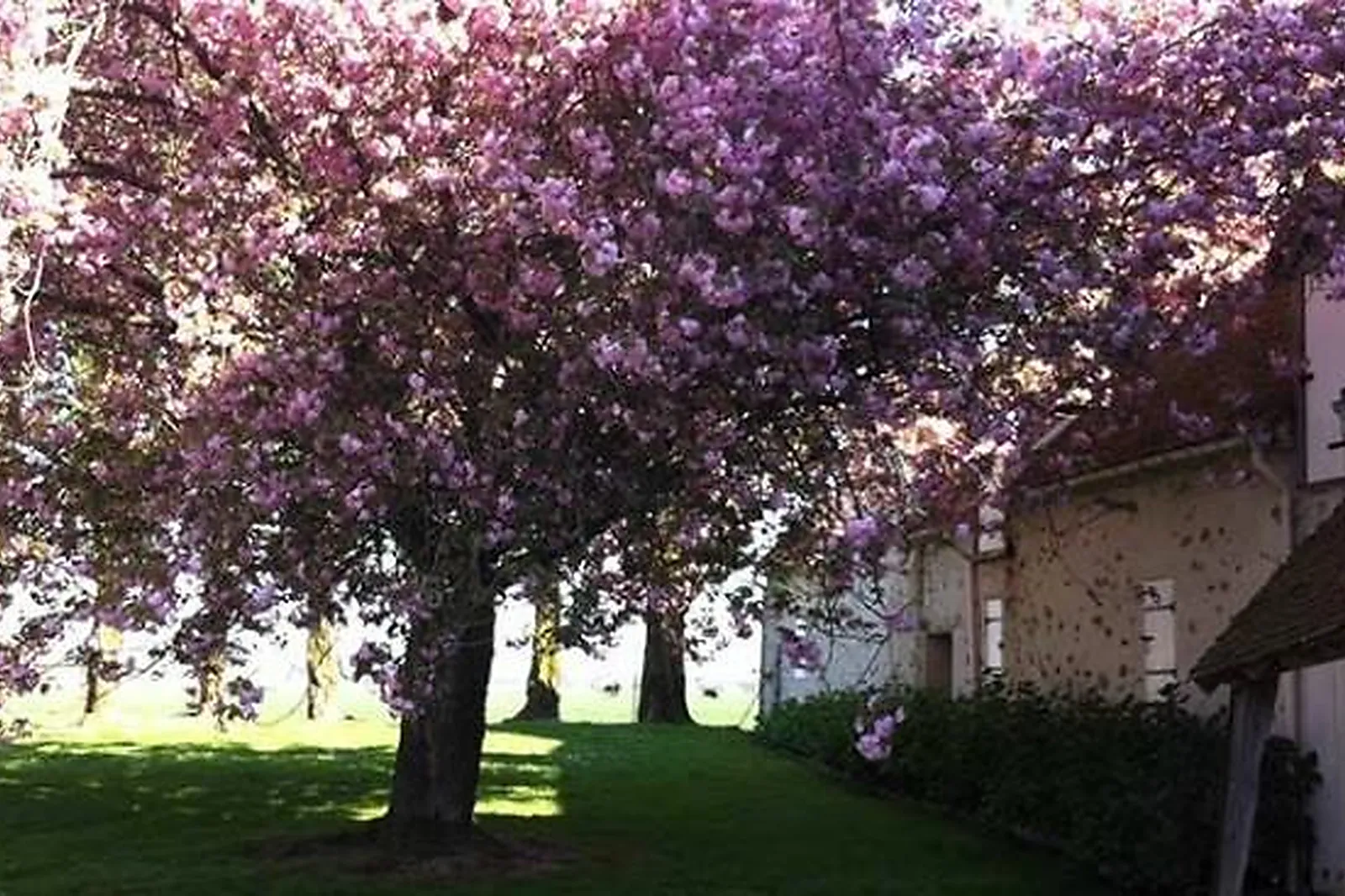 Lieux événementiels, FERME DE LA RÉTHORÉE