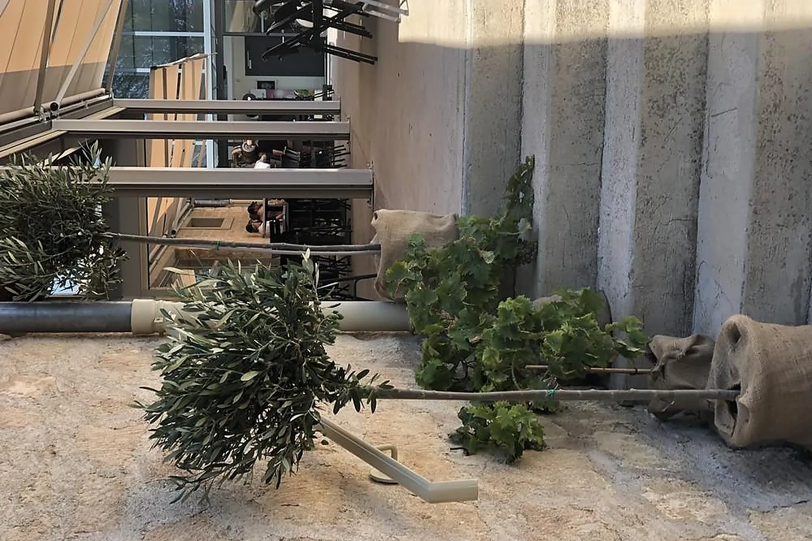 Lieux événementiels, FRUITIÈRE NUMÉRIQUE