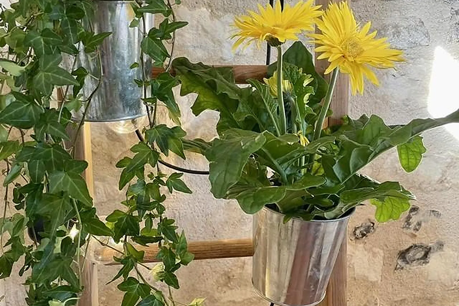 Lieux événementiels, GÎTE DE SERMOISE ET SALLE DE RÉCEPTION