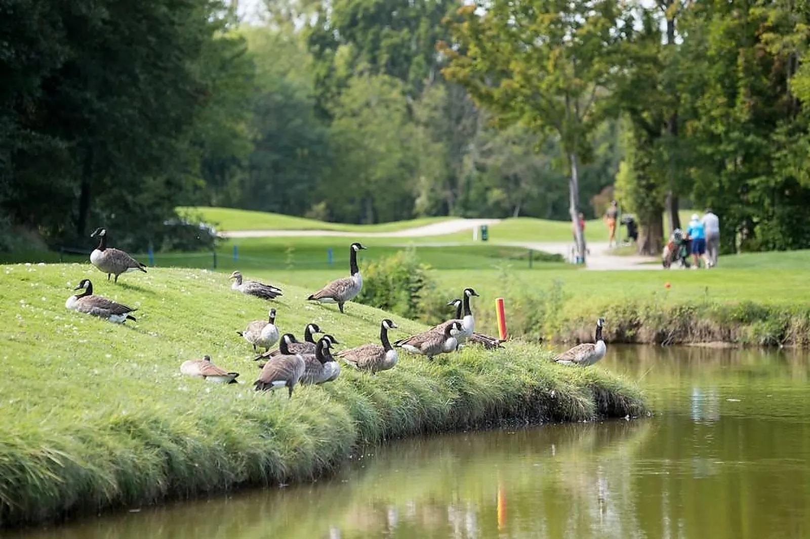 Lieux événementiels, GOLF CHÂTEAU HÔTEL DU KEMPFERHOF